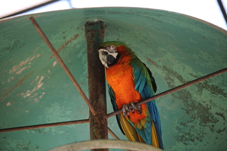 浜松市動物園80