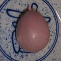 Photos: かもめの玉子