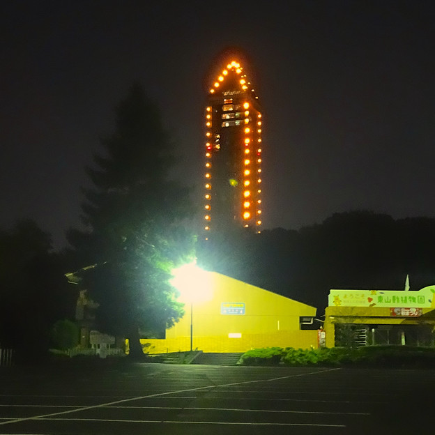 東山動植物園 北園門前から見た、夜の東山スカイタワー - 2