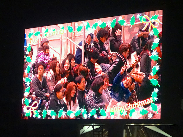 名古屋港水族館 クリスマス イブに行われた夜のイルカショー 14 No 03 写真共有サイト フォト蔵