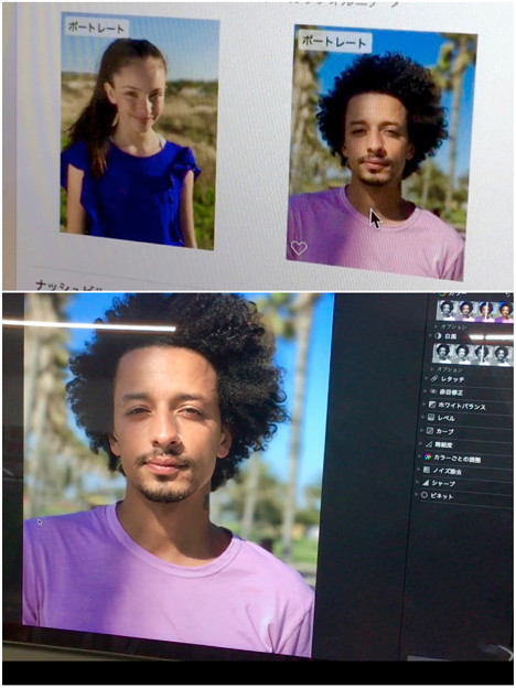 macOS High Sierraの写真アプリにも「ポートレートモード」! - 4:ポートレートと判定されてる写真でも使えず?