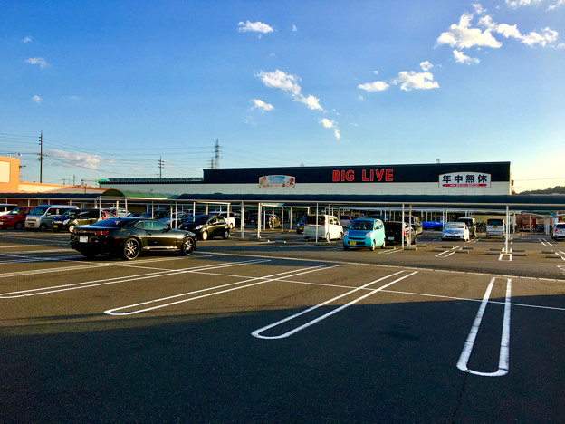 住民投票で否決された図書館作りたい市長に協力しラピオ入店決めた反市民的企業「三河屋」と同社が運営する「BIGLIVE小牧店」 - 3
