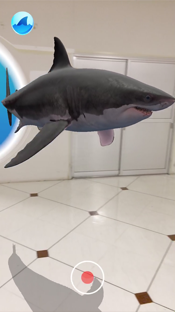 空中を泳ぐリアルなサメをar表示できる Shark アプリ内課金でホオジロザメを表示 13 写真共有サイト フォト蔵