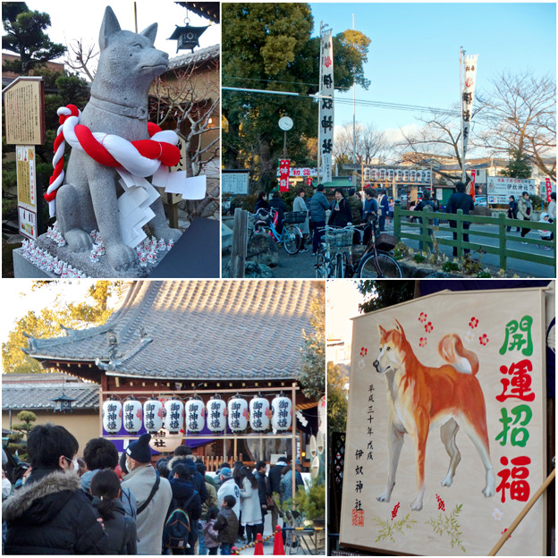 戌年で賑わう2018年正月の「伊奴(いぬ)神社」 - 41