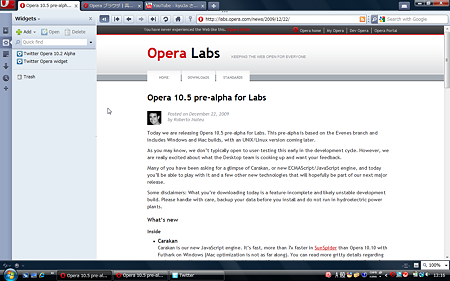Opera 10.5 pre-alpha:パネルあり