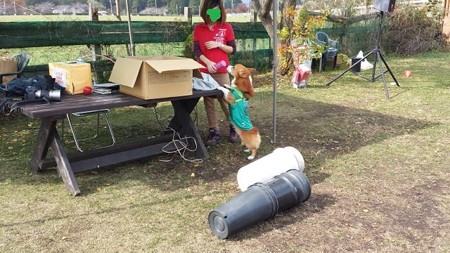 20141108_113834