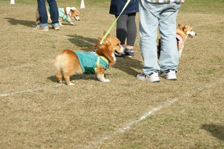DSC04012
