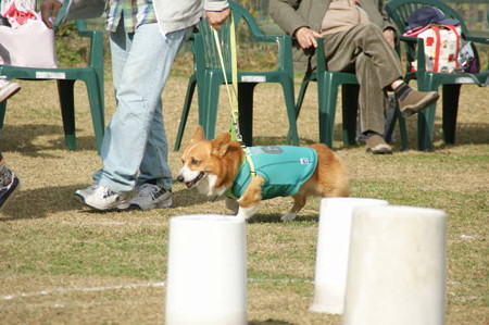 DSC04015