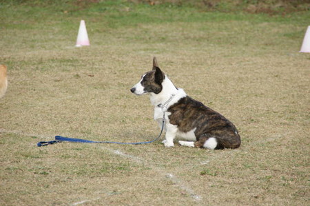 DSC04028