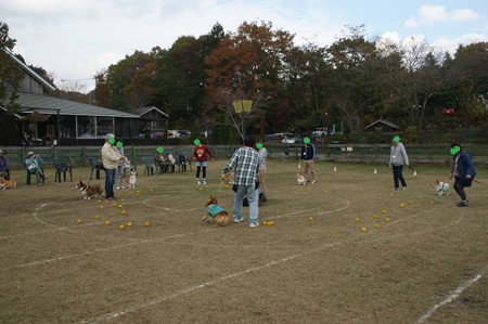 DSC04033
