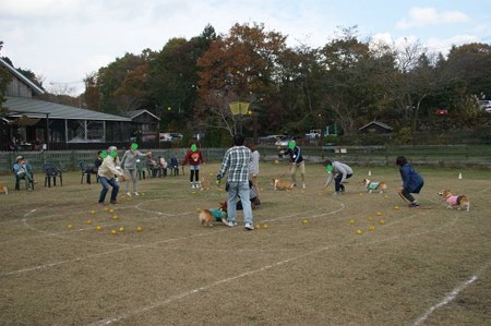 DSC04034