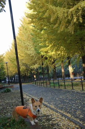 DSC04233