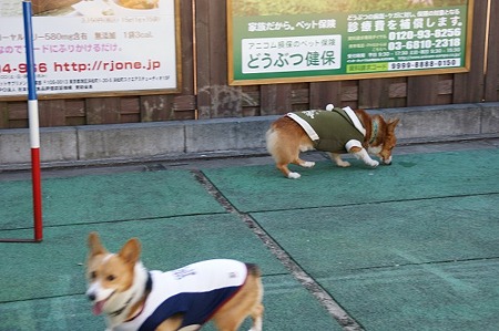 DSC04198
