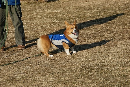 DSC05335
