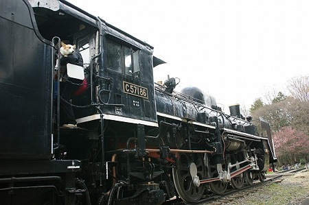 DSC09006