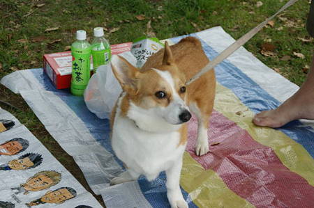 DSC09745