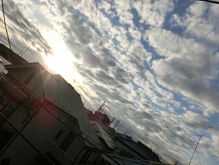 CIMG2411