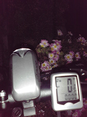 T002