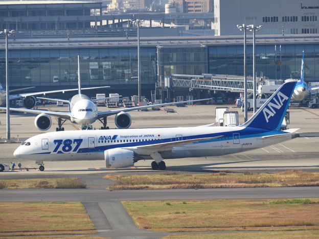 ana b787-8