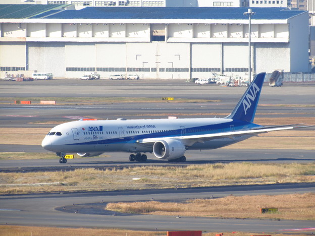 ana b787-9