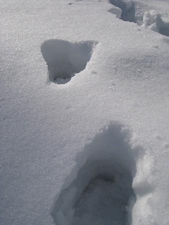 07高田城　積雪