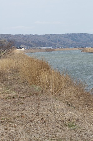 River03042012nex5