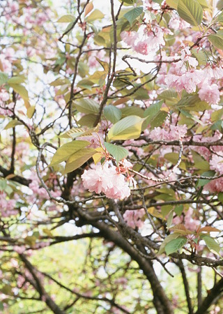 OLYMPUS_PEN_FT_SenciaIII100_05052011-03