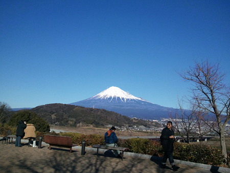 2015-01-12 13.17.58