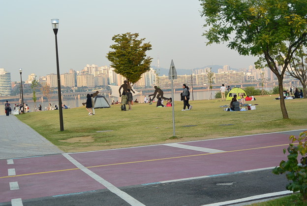 DSC_3701 写真: DSC_3701