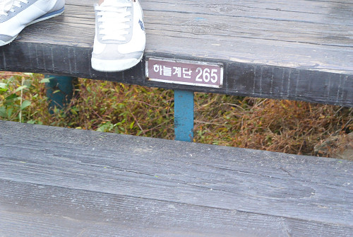 resize1236 写真: resize1236
