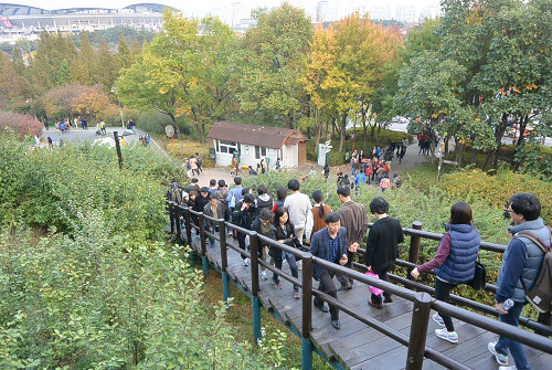resize1237 写真: resize1237