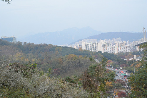 resize1241 写真: resize1241