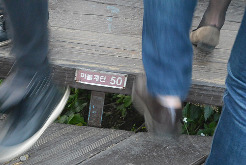resize1242 写真: resize1242