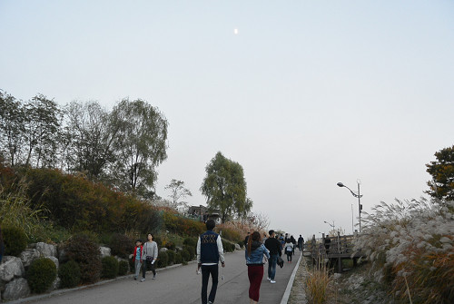 resize1253 写真: resize1253