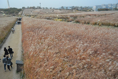 resize1271 写真: resize1271