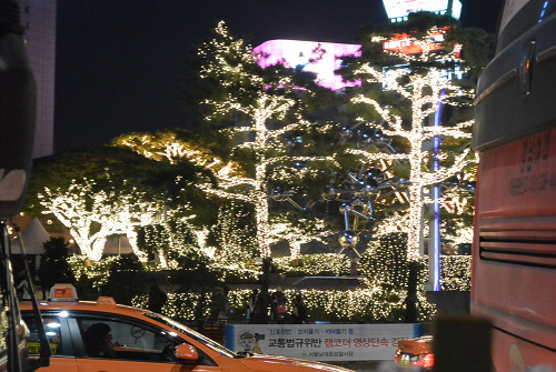 resize1316 写真: resize1316