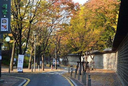 resize1340 写真: resize1340