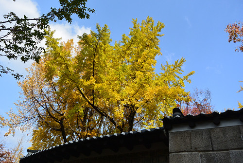 resize1348 写真: resize1348