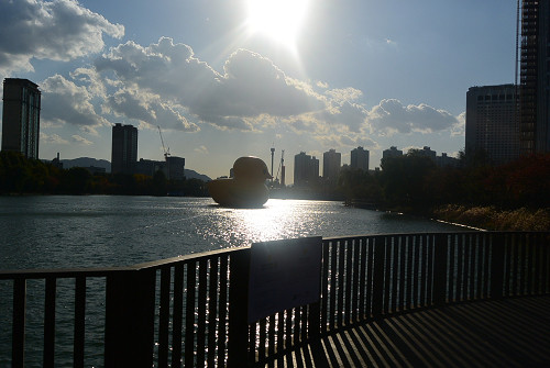 resize1402 写真: resize1402