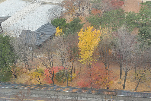 resize1526 写真: resize1526