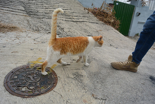 resize1606 写真: resize1606
