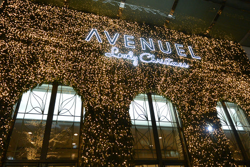resize1774 写真: resize1774