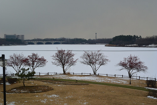resize0889 写真: resize0889