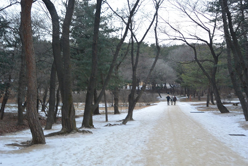 resize2041 写真: resize2041