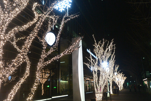 resize0989 写真: resize0989