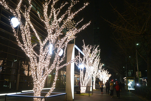 resize0990 写真: resize0990