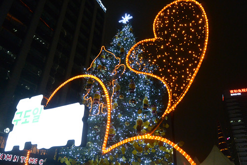 resize0999 写真: resize0999
