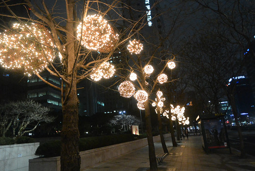 resize1002 写真: resize1002