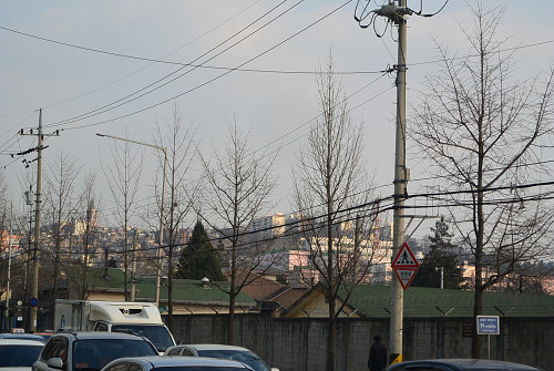 resize2069 写真: resize2069