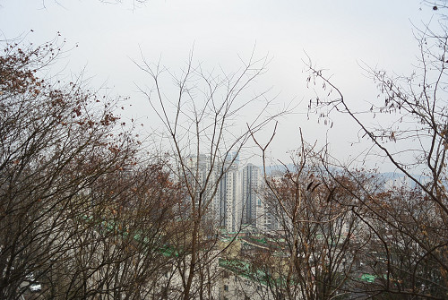 resize2198 写真: resize2198
